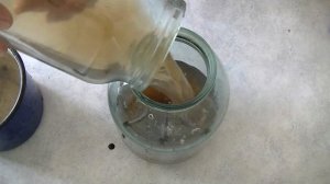 Очередные подкормки рассады томатов по принципу фертигации