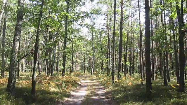 Дорога на Святе озеро. 9 вересня 2017р. смотреть онлайн