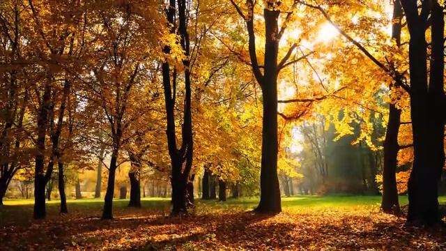 НЕРАЗДЕЛЕННАЯ ЛЮБОВЬ смотреть онлайн