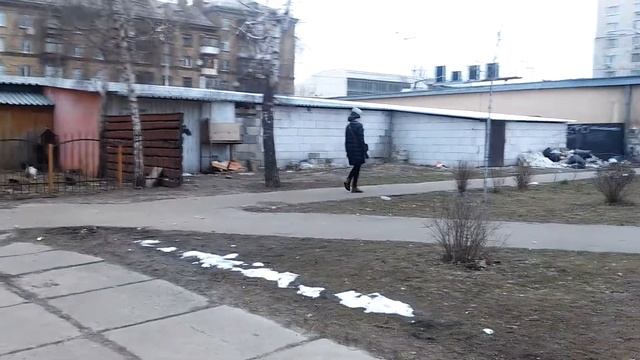 Про здорового Лба что в котика снежком бросить хотел. 14 марта 2021 г.