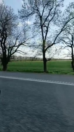 Кубанские поля 🌾