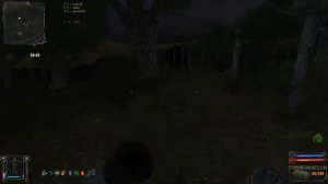 Stalker "Золотой шар или приключения Жекана завершение"  карабин "Сайга"