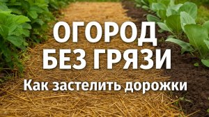 Никакой грязи на даче — застилаем дорожки легко и надолго
