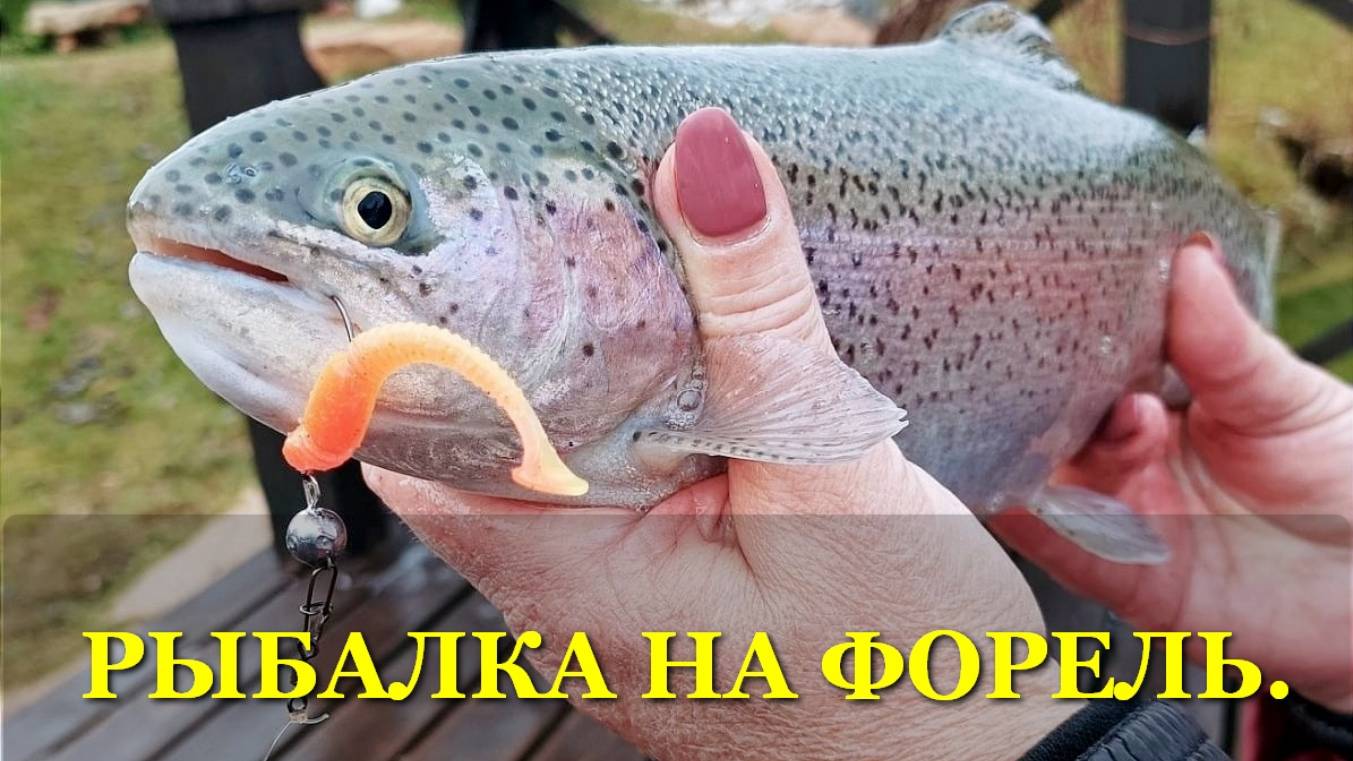 Рыбалка на ФОРЕЛЬ. Дождь и снег нам не помеха! #рыбалка #форель #fishing