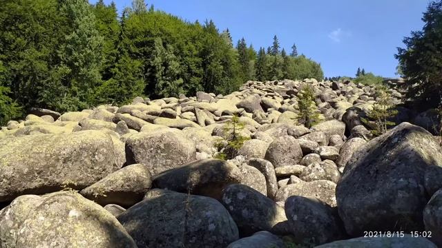 Разходка до Златните мостове и каменната река Морените - Витоша