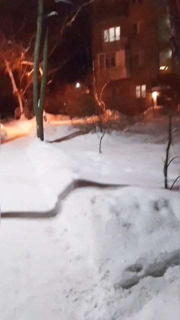 Москву засыпало снегом по колено #shortvideo смотреть онлайн