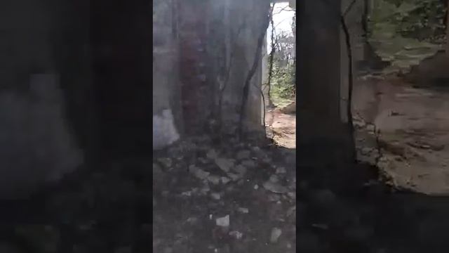 Рубрика Мой любимый Туапсе. П. Ольгинка, дача Суворина 2 часть. смотреть онлайн