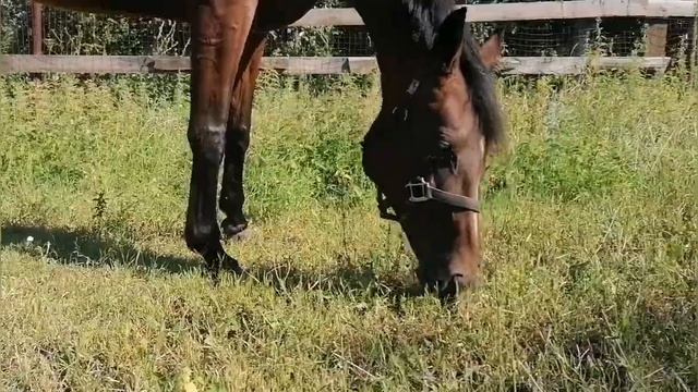 29 июля 2024 г. смотреть онлайн