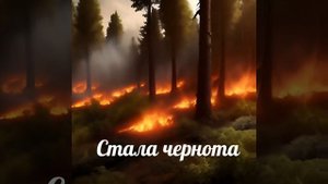 берегите лес от пожара.mp4