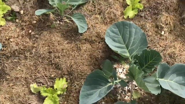 ОБЗОР ПОСАДОК 31 мая // НАМ ХОЛОДНО смотреть онлайн