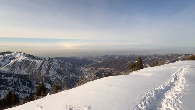 Гора Мохнатка смотреть онлайн