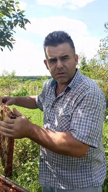 Качаю мёд! смотреть онлайн