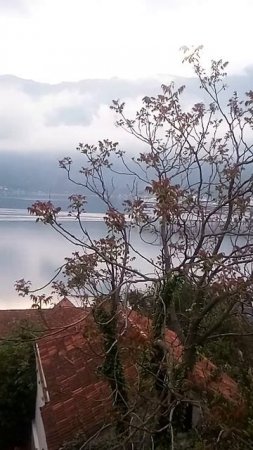 Черногория. Начало дня . Которский залив. Море. Лайнер. Горы. Небо.  Поют птицы. Доброе утро!