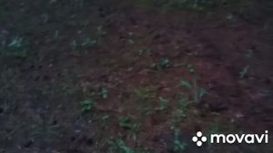 Что мне снег, что мне зной, что мне дождик проливной. 02.06.2021 год