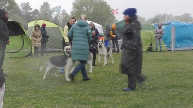 Сравнение СЮ смотреть онлайн
