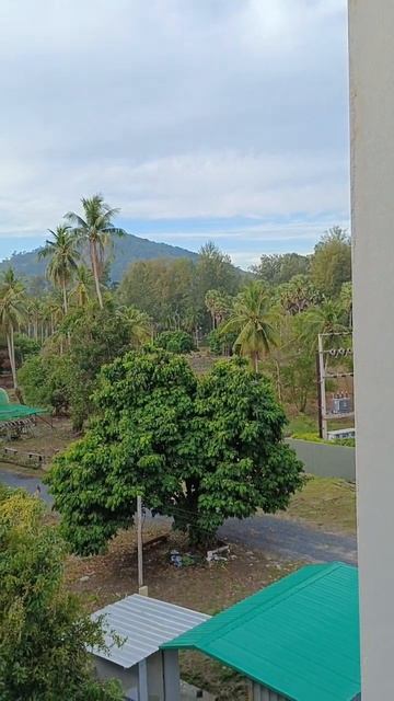 Утренний вид из окна отеля Airport Beach Hotel Phuket 4* смотреть онлайн