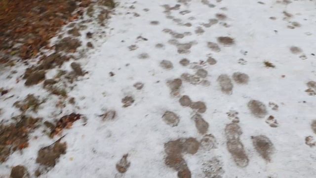 Следы глухаря. смотреть онлайн