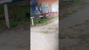просто катаюсь на велосипеде ( ничего интересного)