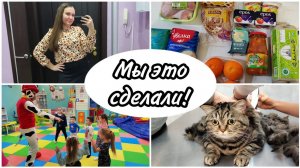 Гуляем на ДР  Грумминг для нашей Джесси⬛. Обзоры покупок с OZON , Монетка. Работаю и дома тоже