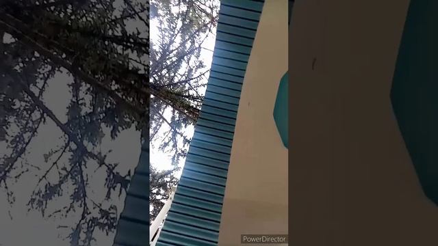 #122 Пансионат Дюльбер смотреть онлайн