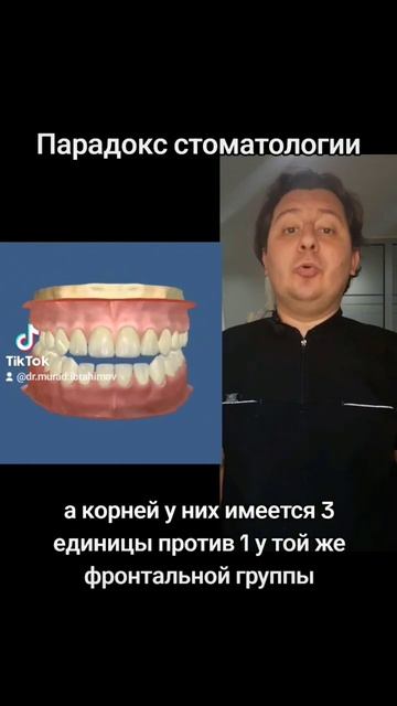 Какие зубы крепче? #стоматолог #стоматология #удалениезуба #удалениезубов #зубы #дантист #зубнойвра смотреть онлайн