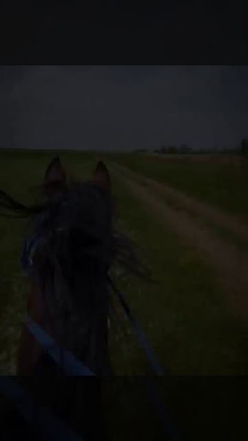 прокат лошадей в г. Хасавюрт смотреть онлайн