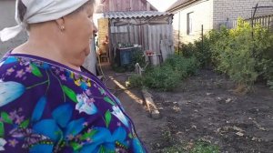 🍆Баклажаны ДЕЛАЕМ только так 🍆В селе у СВЕКРУНЬКИ !👍🐝🐝🐝