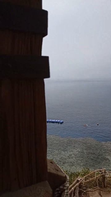 бар на пляже смотреть онлайн