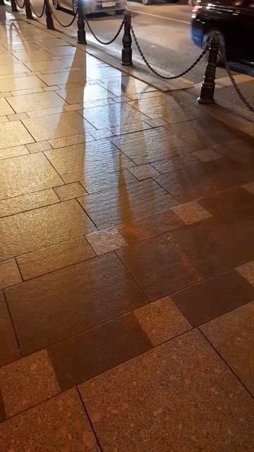 Вечер в Питере