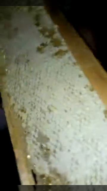 Сотовый Мёд 2016 смотреть онлайн