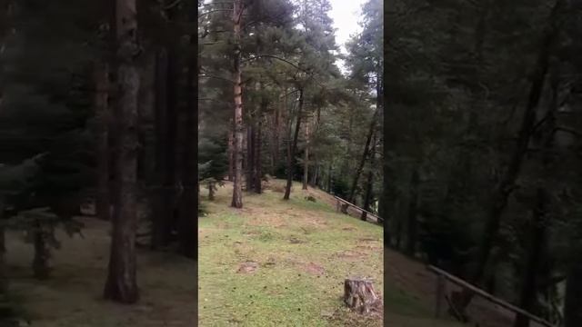 2 ноября 2022 г. смотреть онлайн