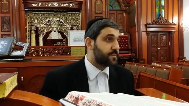 Rabbi Tabibov Questions & Answers #109
Killing a fly during a meal 🕍Раби Табибов Вопросы и ответы смотреть онлайн