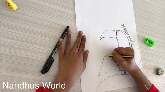 #How to draw rainbow billed toucan смотреть онлайн