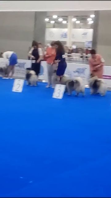 23 июня 2016 г. смотреть онлайн