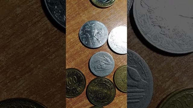 硬币монеты CoinsespèceعملةMetálico