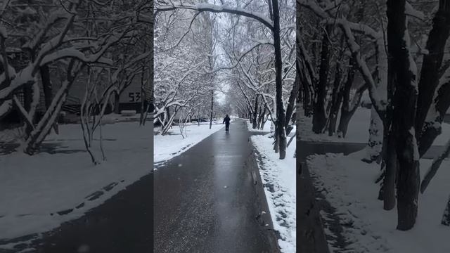 #зима #москва #апрель2025