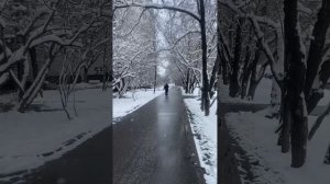 #зима #москва #апрель2025