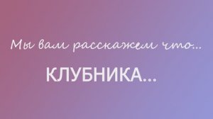 Мы вам расскажем про клубнику