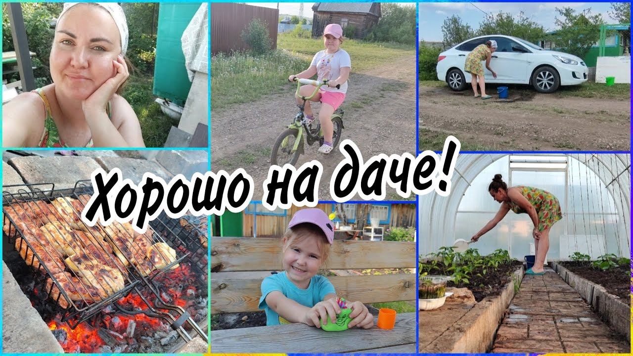 Отдых на дачеОтвезли нашу Джесси. Жарим шашлыкиМою машину.