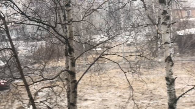 Апрель как февраль идёт снег и завывает