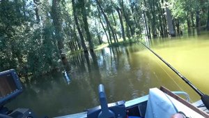 ВЫХОД РУЧЬЯ ЗАБИТ РЫБОЙ, РУКА ЛОВИТЬ УСТАЛА! Рыбалка на спаде большой воды! Алта