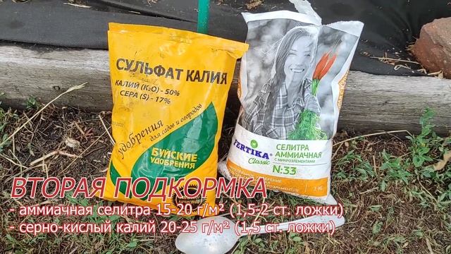 Шпаргалка огородникам: все подкормки ТОМАТОВ