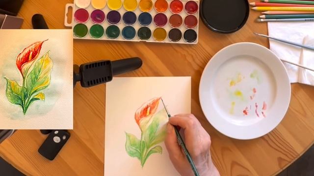 Как нарисовать Каллу лилию акварелью и акварельными карандашами смотреть онлайн