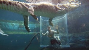 10 САМЫХ НЕОБЫЧНЫХ БАССЕЙНОВ В МИРЕ