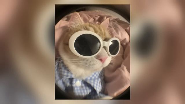 ПЛЕЙЛИСТ ИЗ ТВОЕГО ДЕТСТВА  версия BIG