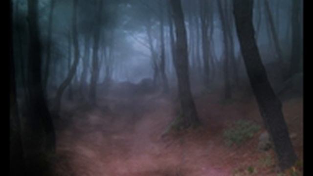 Do you love me? *пони клип* смотреть онлайн