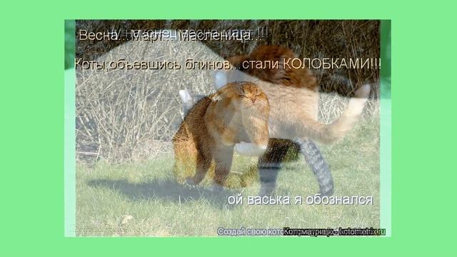 Видеокотоматрица.  Мартовский десант