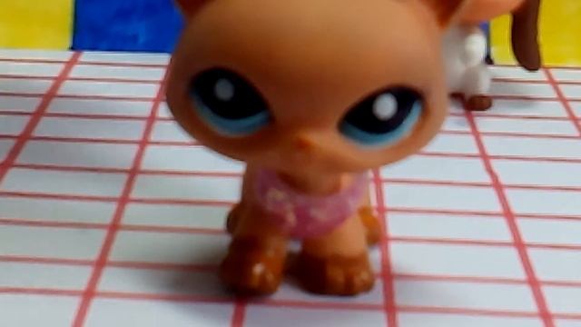 Чем я крашу петов? смотреть онлайн