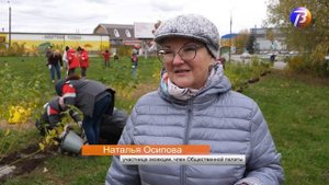 Выкса ТВ. Более 150 деревьев и кустарников высадили экоактивисты в районе Межонского пруда