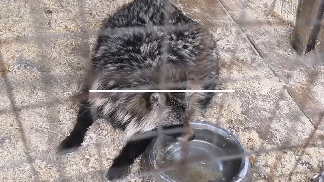 Парк Дракино - июнь 2018 смотреть онлайн